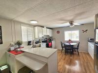 1987 Skyline Manufactured Home