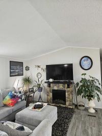 1994 Skyline Manufactured Home