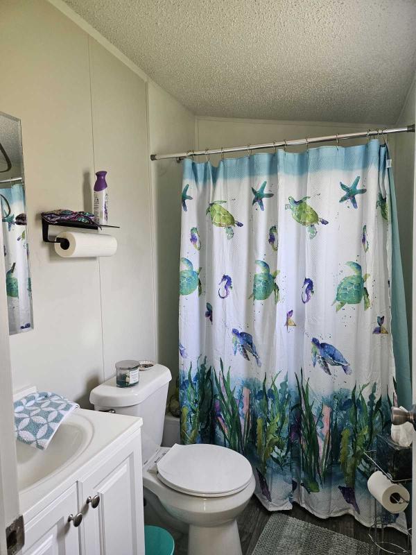 1994 Skyline Manufactured Home