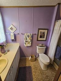1987 Mobile Home