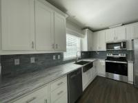 2024 Skyline - Ocala Silver Springs Mobile Home