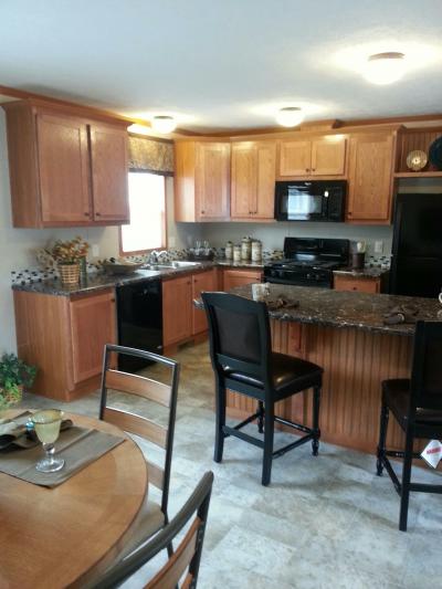 Mobile Home at 11631 2nd Str. NE Magnolia, OH 44643