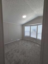 1999 Skyline Manufactured Home