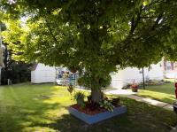 1995 Century Manufactured Home