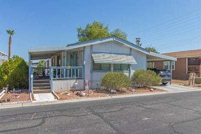 Mobile Home at 5303 E. Twain Ave. Las Vegas, NV 89122
