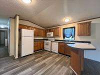 1999 SKYLINE Mobile Home