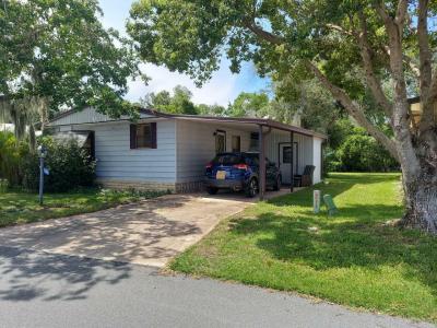 Mobile Home at 133 Sea Fern Drive Leesburg, FL 34788