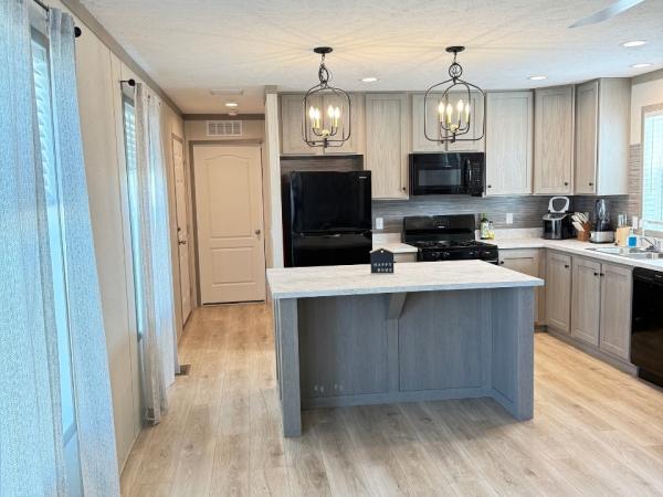2024 Clayon Pulse 6616-4779  Home