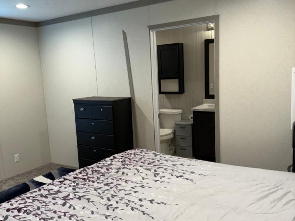 2024 Clayon Pulse 6616-4779  Home