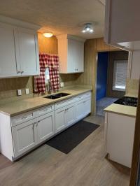 1968 Paramount Mobile Home