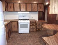 1981 Skyline Manufactured Home