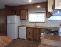 1981 Skyline Manufactured Home