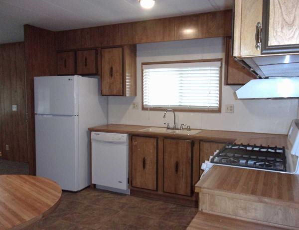 1981 Skyline Manufactured Home