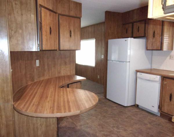 1981 Skyline Manufactured Home