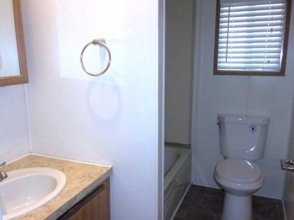 1981 Skyline Manufactured Home