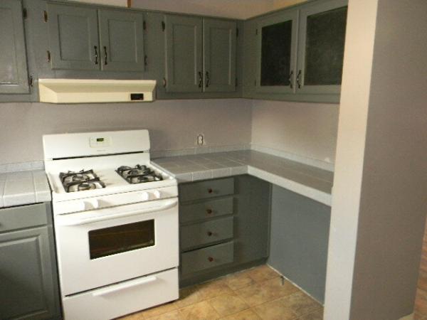 1995 Patriot Manufactured Home