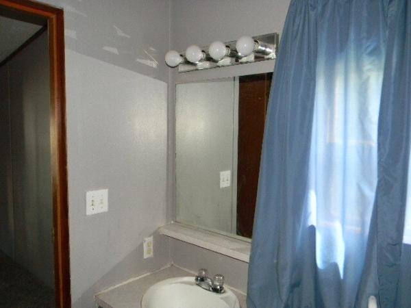 1995 Patriot Manufactured Home
