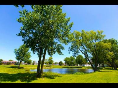 Photo 3 of 4 of home located at 45 Swan Lane Beecher, IL 60401