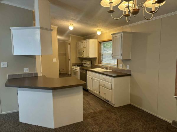 1999 Skyline Skyline Mobile Home