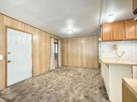 1966 TWM Mobile Home