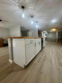 1972 Delta Mobile Home