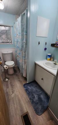 1981 SKYLINE CORPORATION BUDDY Mobile Home