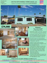 1980 SKYLINE BUDDY Mobile Home