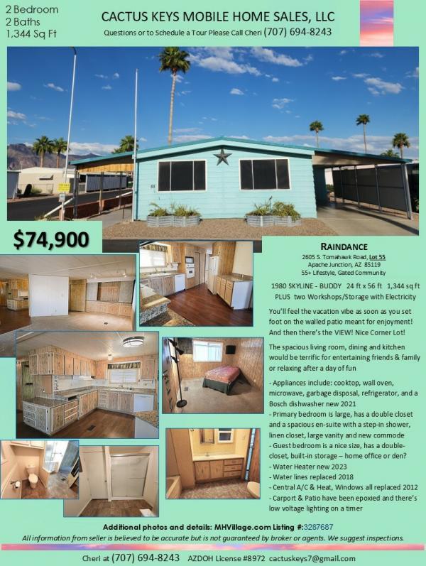 1980 SKYLINE BUDDY Mobile Home