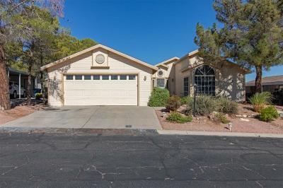 Photo 1 of 25 of home located at 161 Day Street Henderson, NV 89074
