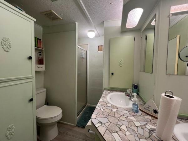 1969 Mobile Home