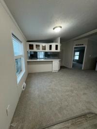 1999 Skyline Manufactured Home