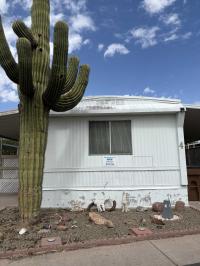 1977 Flamingo Mobile Home