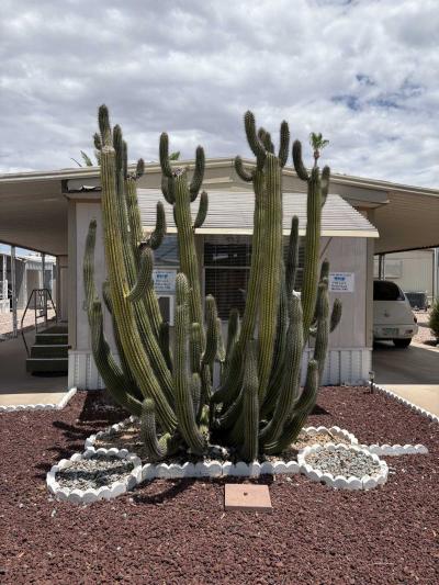 Photo 2 of 11 of home located at 11425 E University Dr Apache Junction, AZ 85120