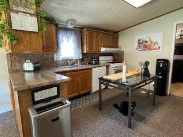 1992 Skyline Mobile Home