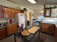 1992 Skyline Mobile Home