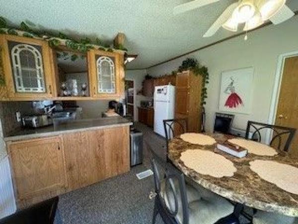 1992 Skyline Mobile Home