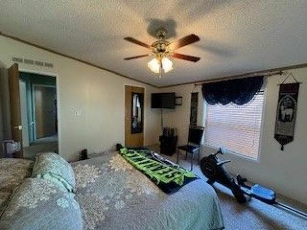 1992 Skyline Mobile Home