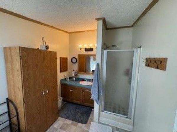 1992 Skyline Mobile Home