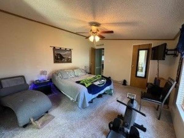 1992 Skyline Mobile Home
