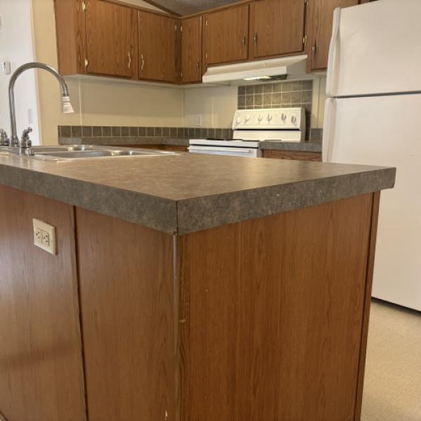 2002 RIVER BIRCH Mobile Home For Sale