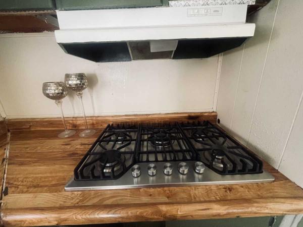 1972 Sahara Manufactured Home