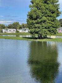 South Mobile Home