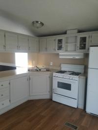 1995 Skyline Southbrook Mobile Home