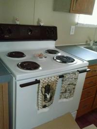2005 Fleetwood Festival Mobile Home
