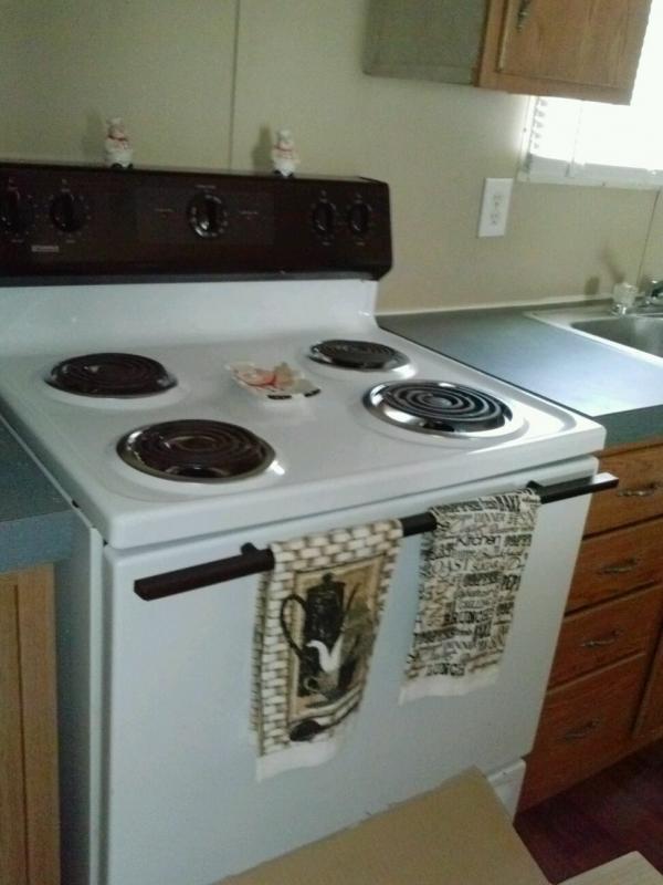 2005 Fleetwood Festival Mobile Home