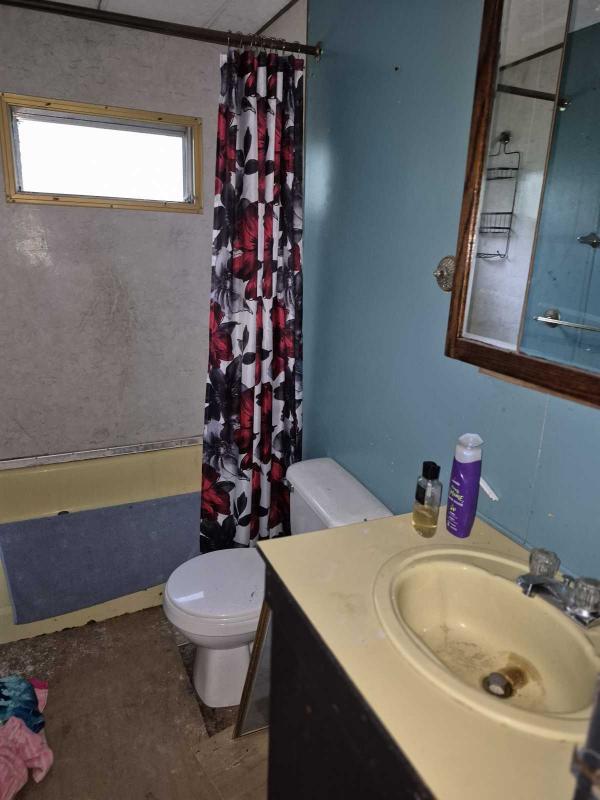 Mobile Home