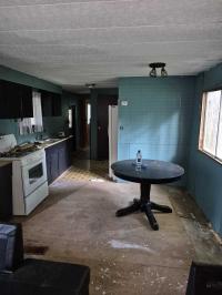 Mobile Home
