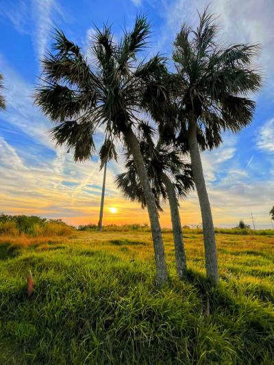 Mobile Home at 70 Basin Drive Ellenton, FL 34222