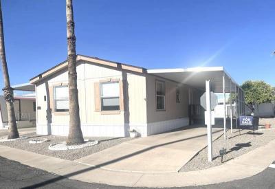 Mobile Home at 305 S. Val Vista Drive #222 Mesa, AZ 85204