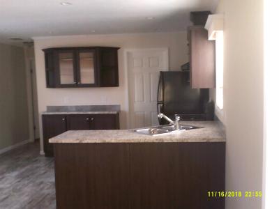 Mobile Home at 12771 Charles Dr Lot 143 Wayland, MI 49348